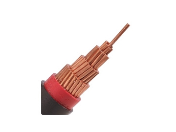 كابلات الجهد المنخفض المعزولة N2XY من 0.6 إلى 1 ك.ف 0.6/1 kV N2XY Cable (CU/XLPE/PVC) كابلات الجهد المنخفض المعزولة N2XY من 0.6 إلى 1 ك.ف 0.6/1 kV N2XY Cable (CU/XLPE/PVC)