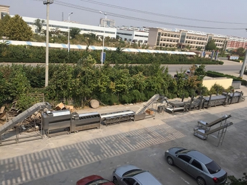 خط إنتاج  البطاطا المقلية المجمدة